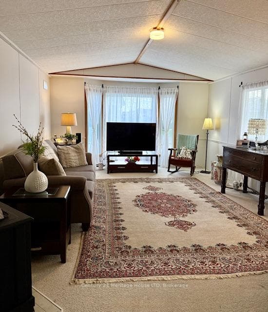living room -vaulted ceilings