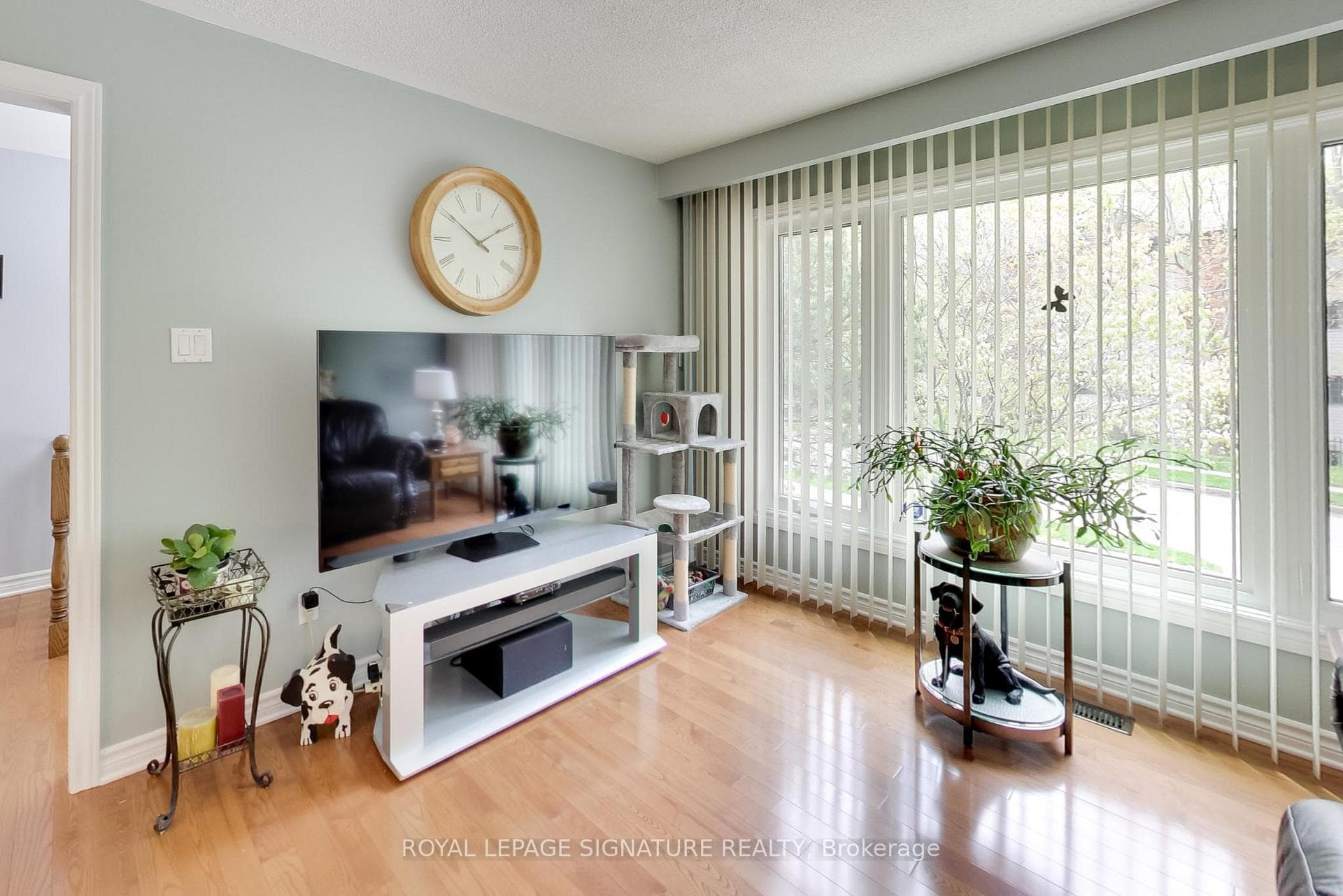 129 Mulcaster Street photo 5