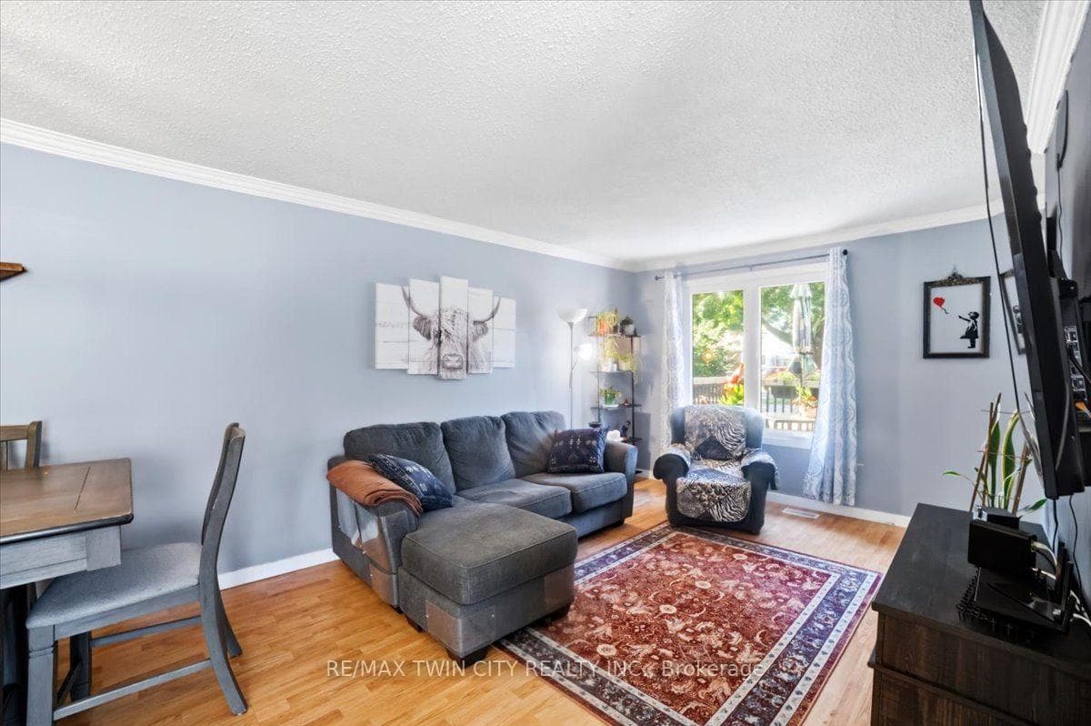 16 Palomino Drive photo 12