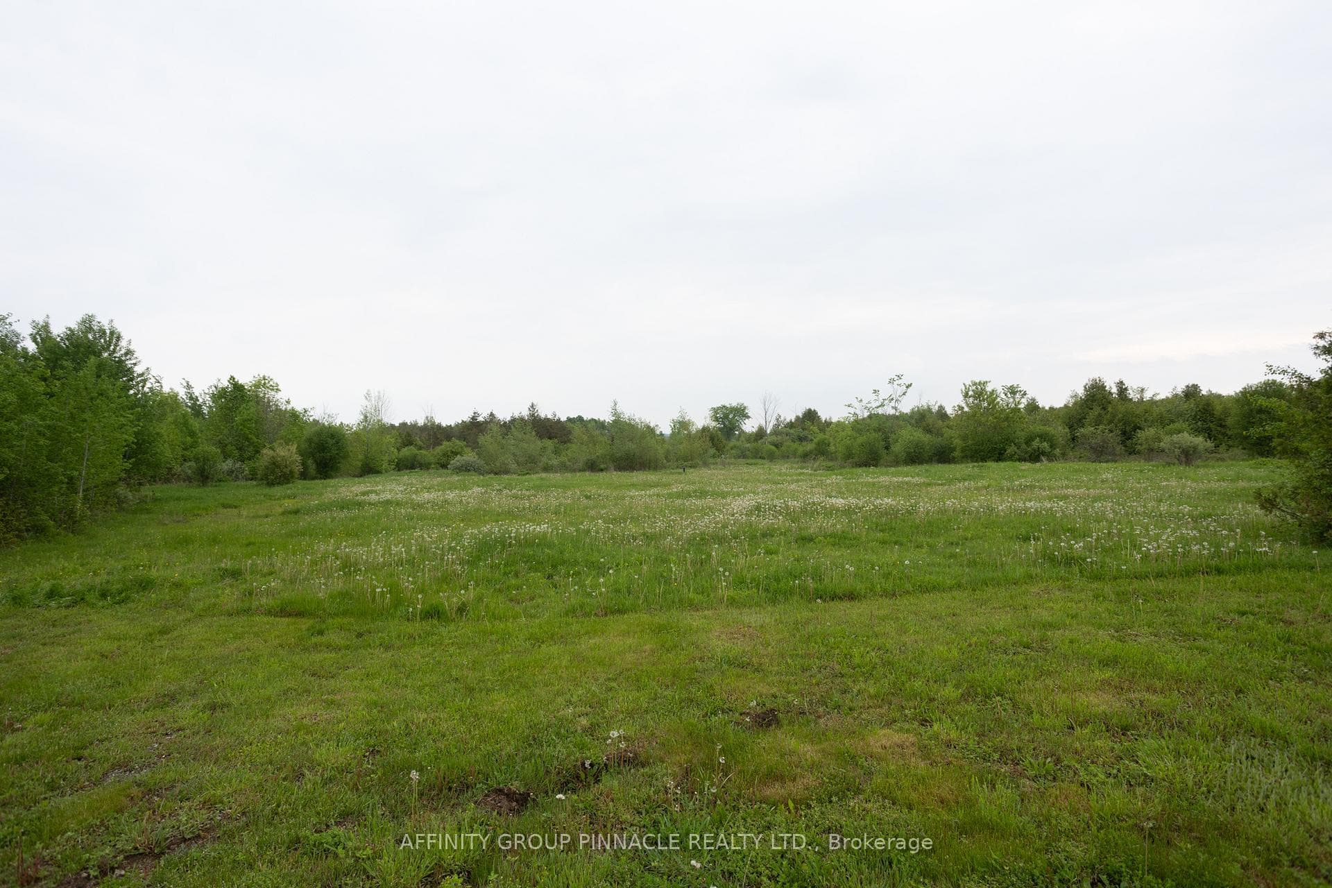 14 Rehill Drive photo 5