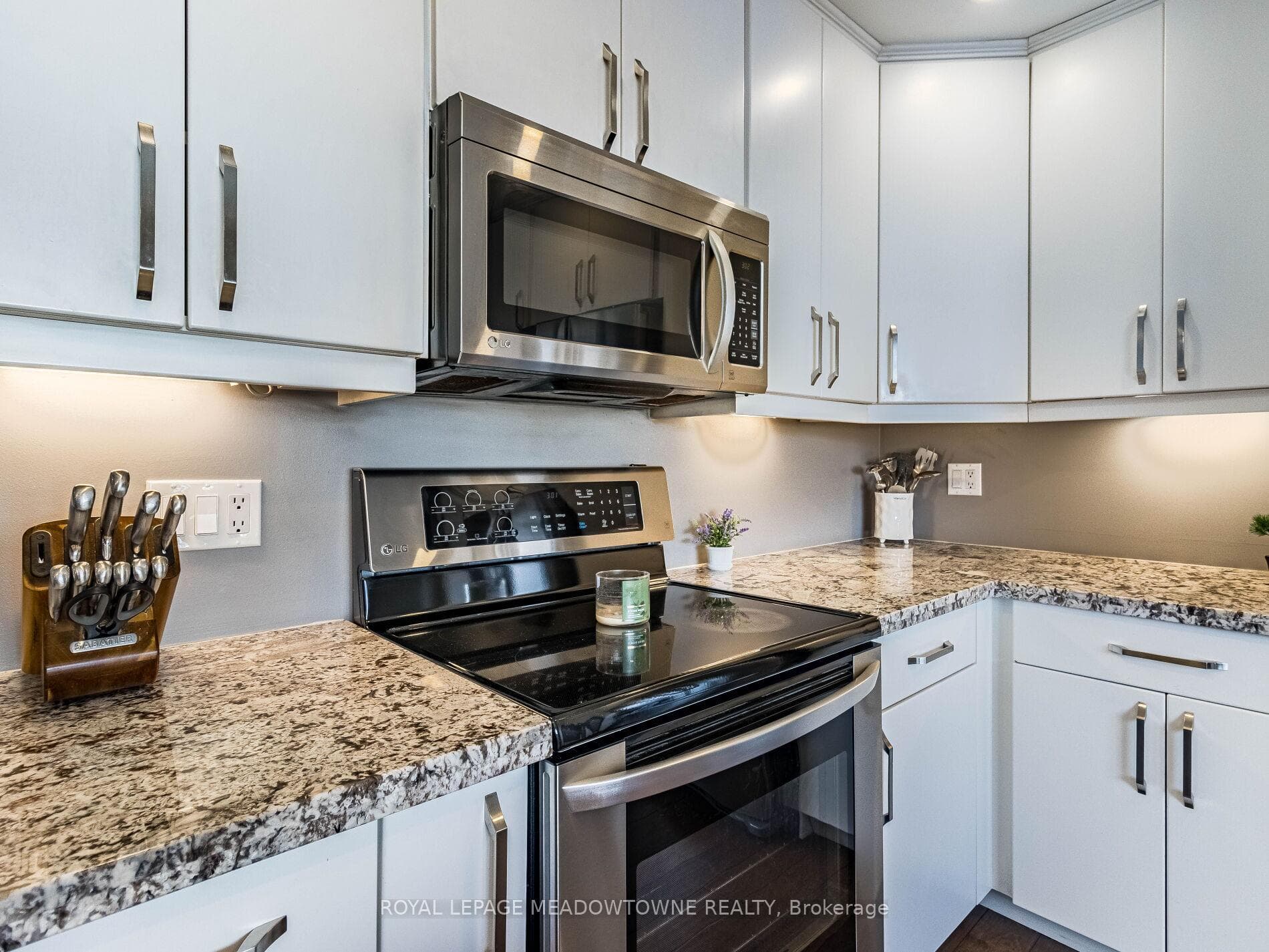 36 Hale Drive photo 14
