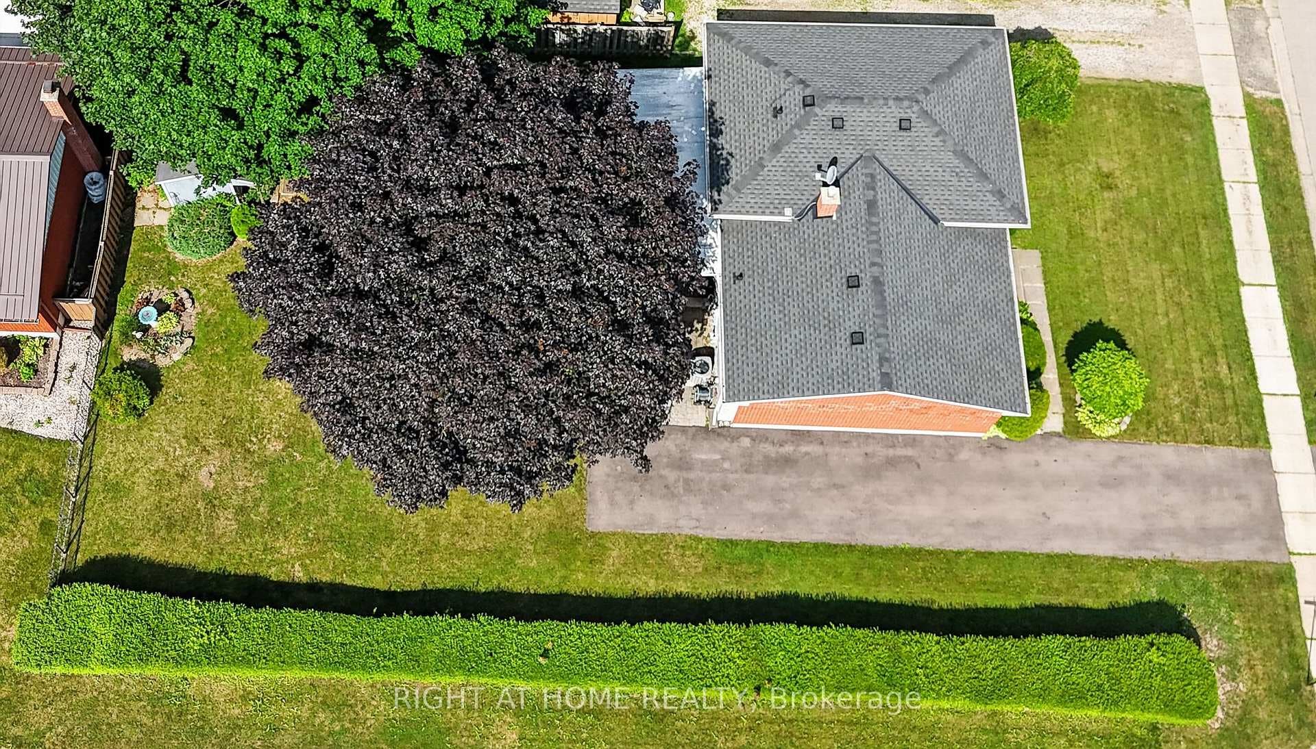 49 Locke Avenue photo 41