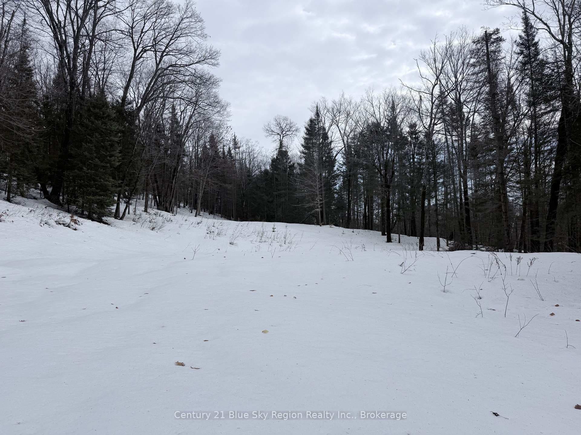 750 Feronia Road photo 4