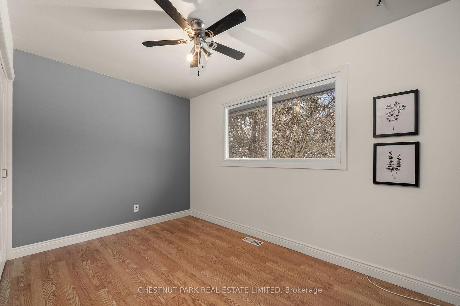 27 Downes Avenue photo 19