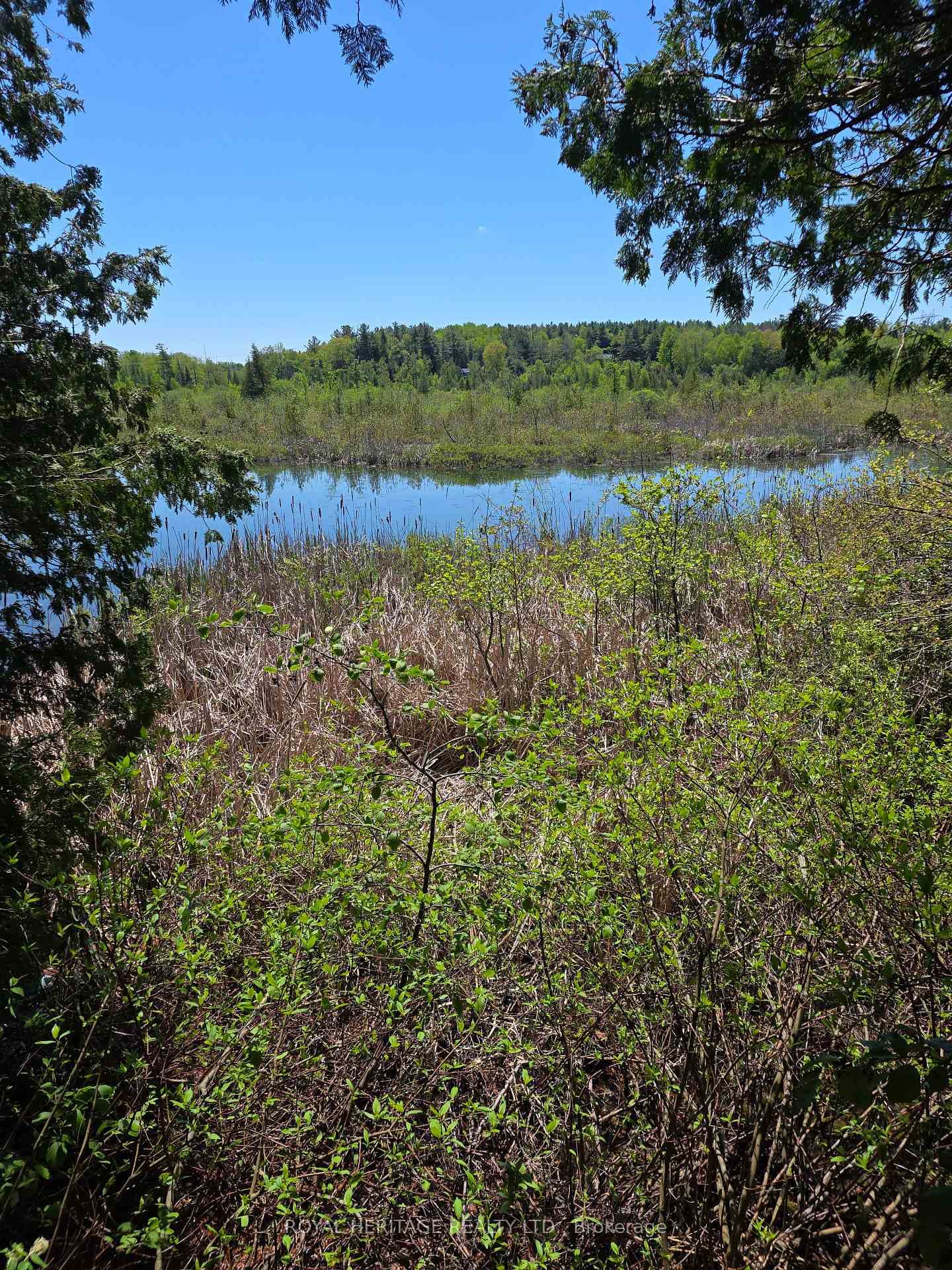 120 Charlie's Island photo 17