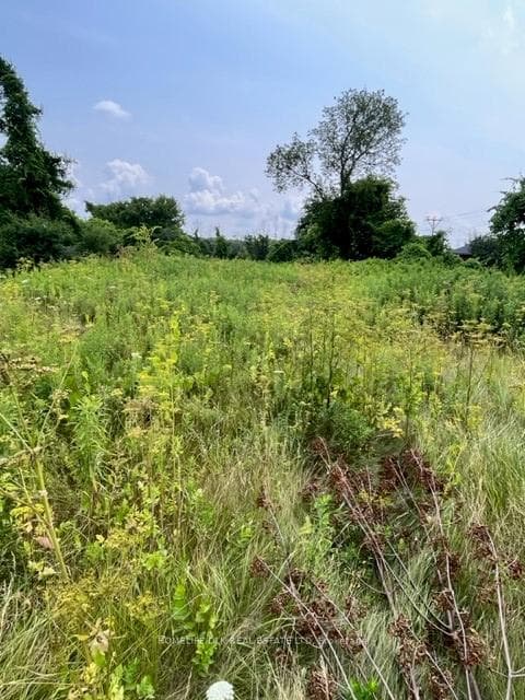 3069 Parkedale Avenue photo 4