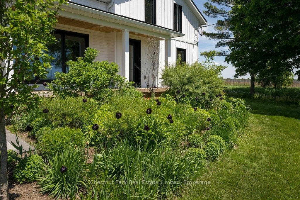 456 Cold Creek Road photo 5