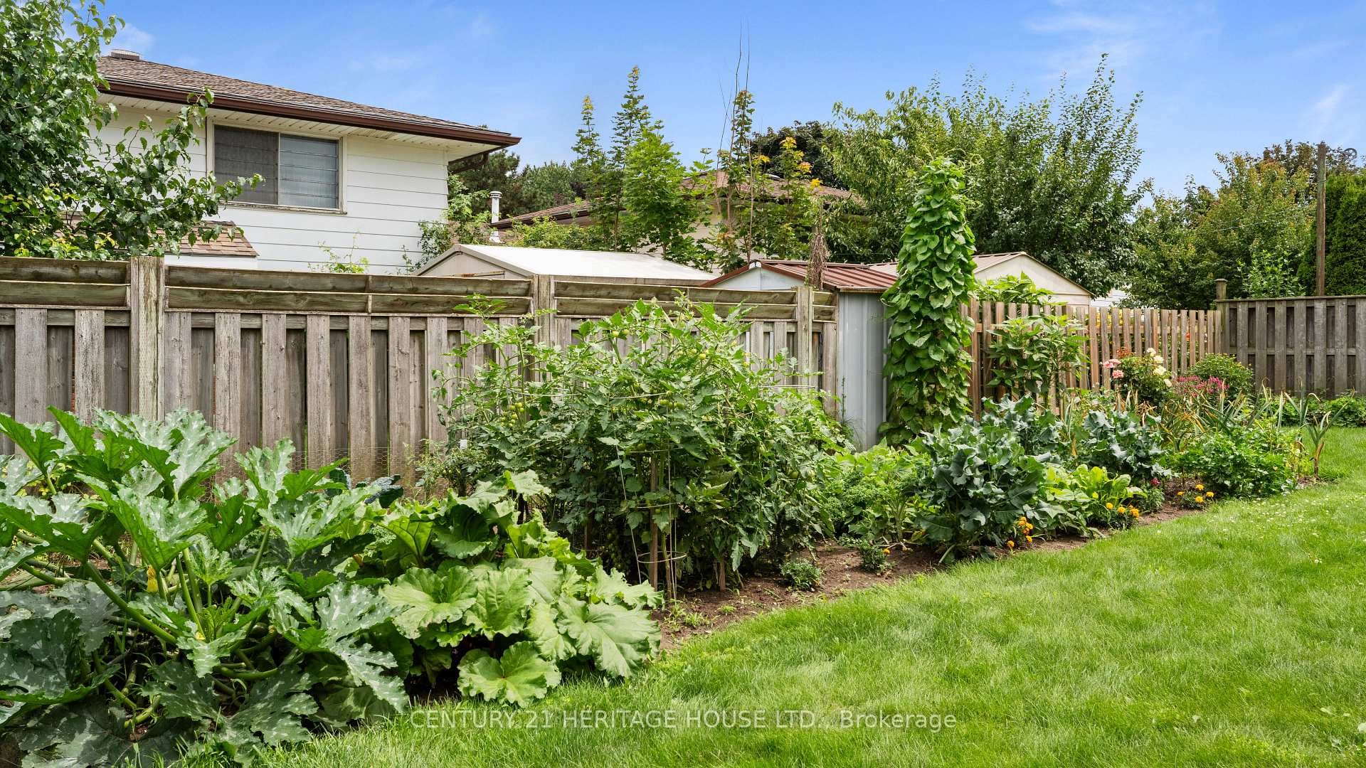 41 Linden Avenue photo 33