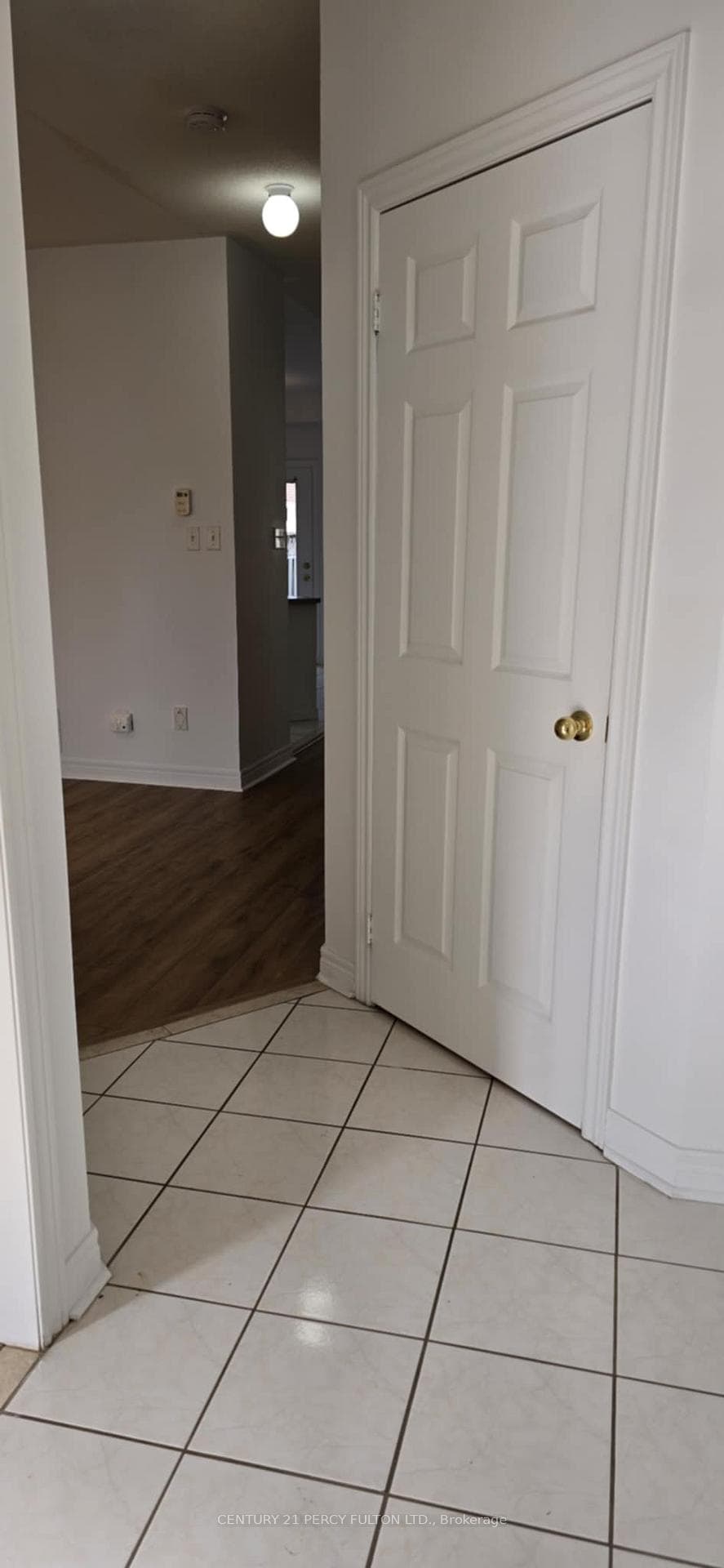96 Riverlands Avenue photo 6