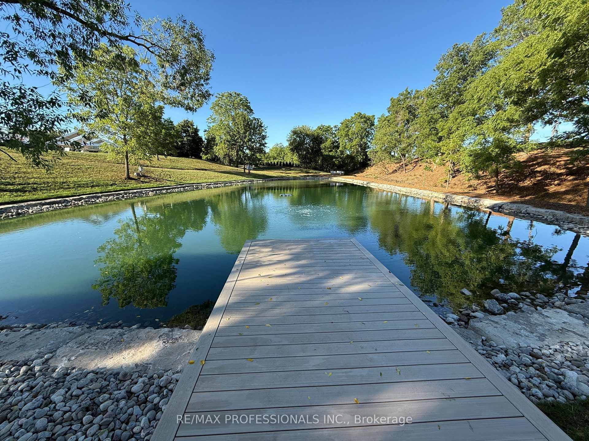 Pond Dock