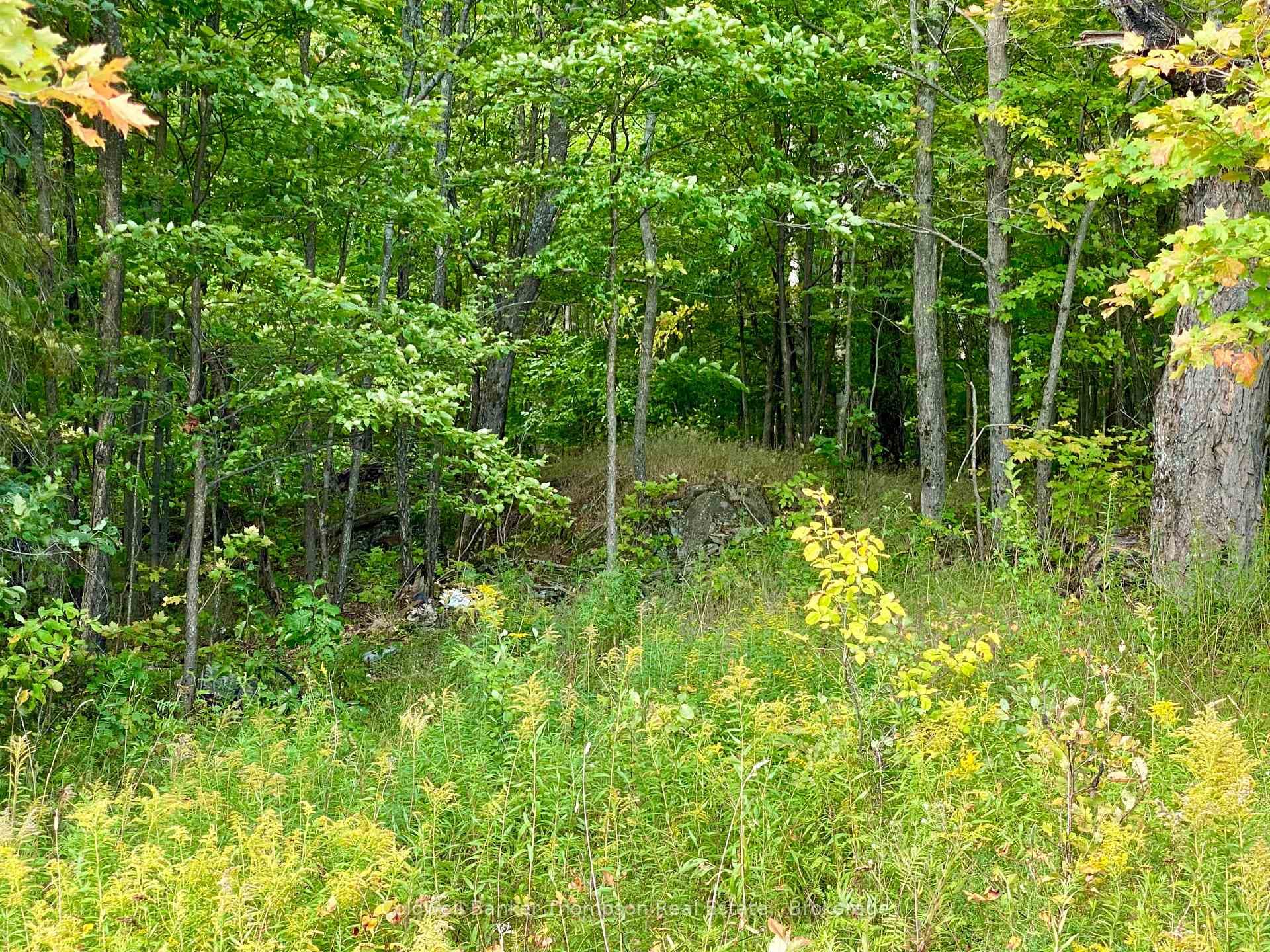 0 Clear Lake Road photo 3