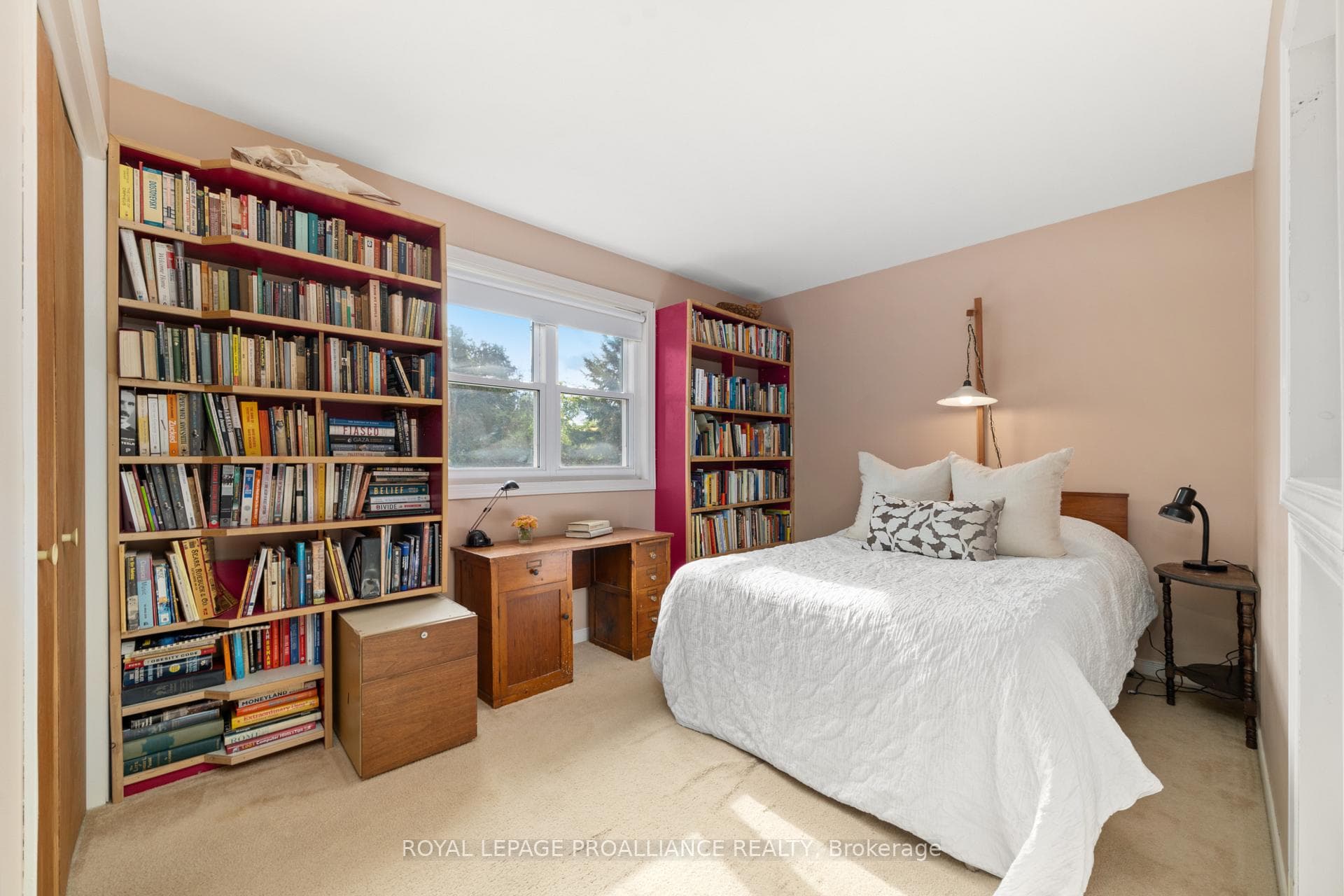 41 O'Neill Drive photo 35