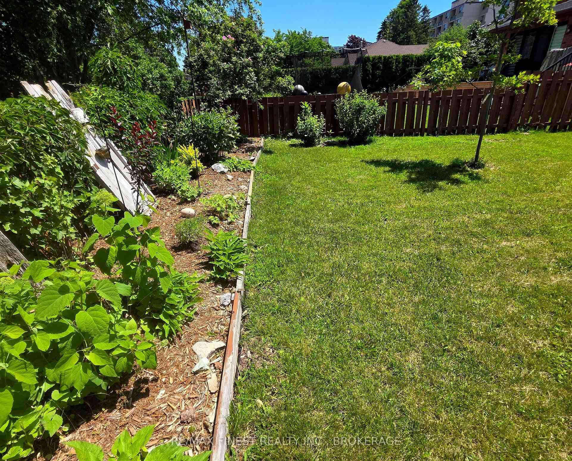 Rear fence perennial garden.