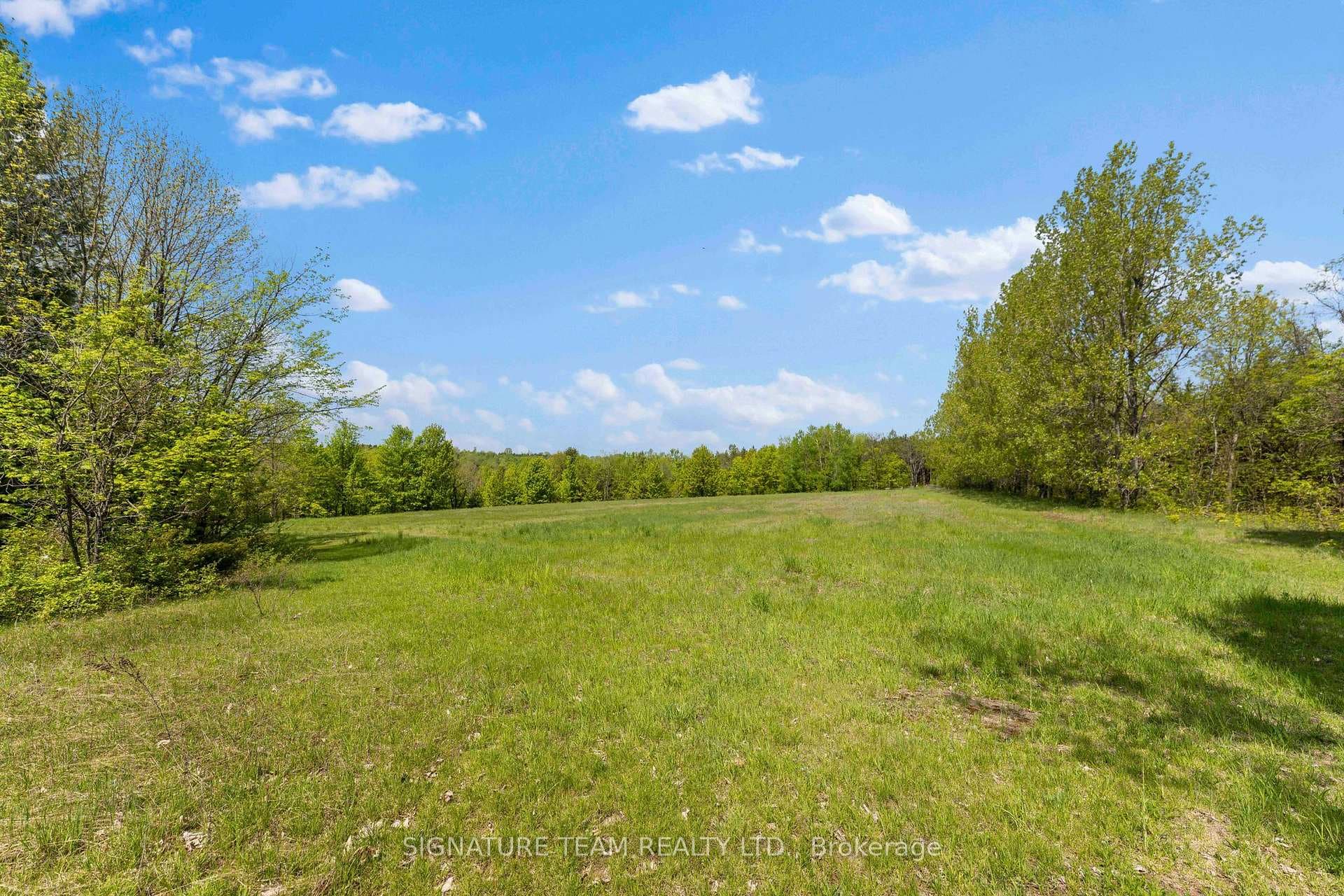 open feild at end of trail