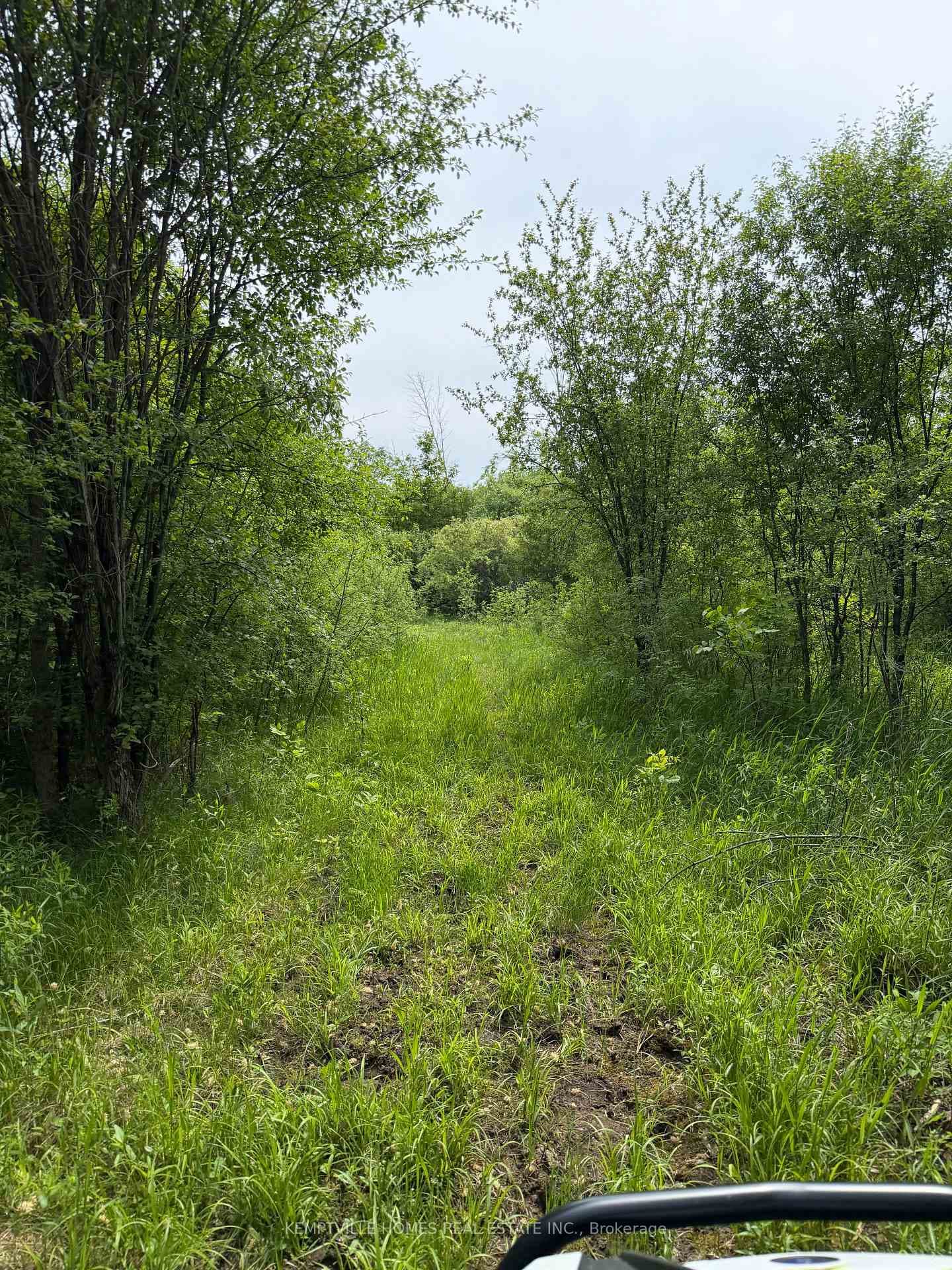 00 RICHARDSON Road photo 22