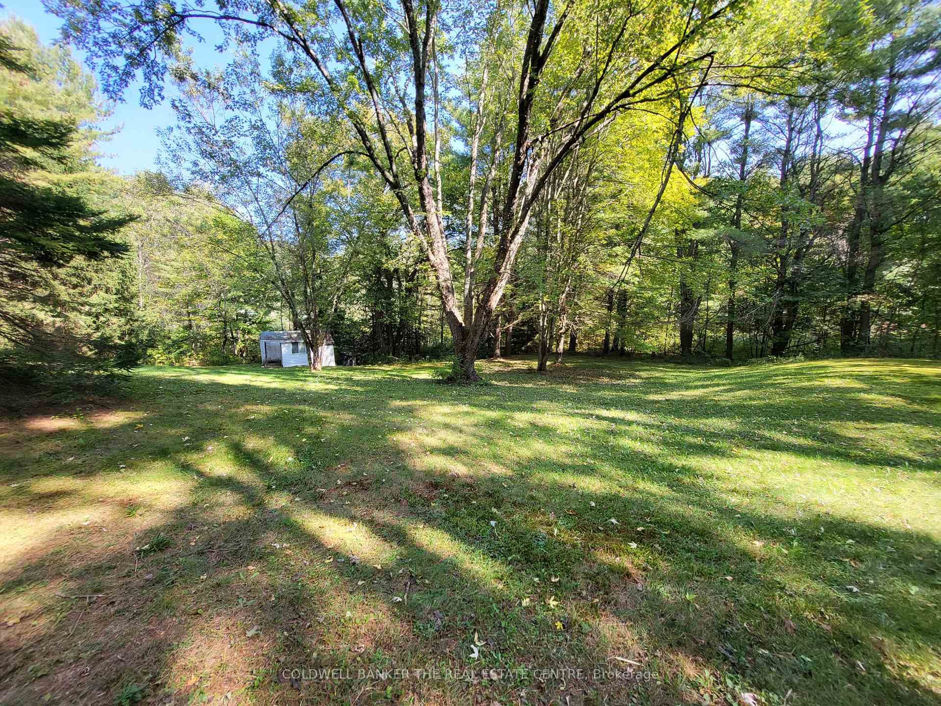 Expansive Back Yard
