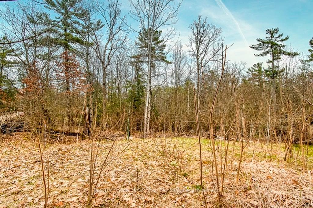 97 Forest Harbour Parkway photo 26