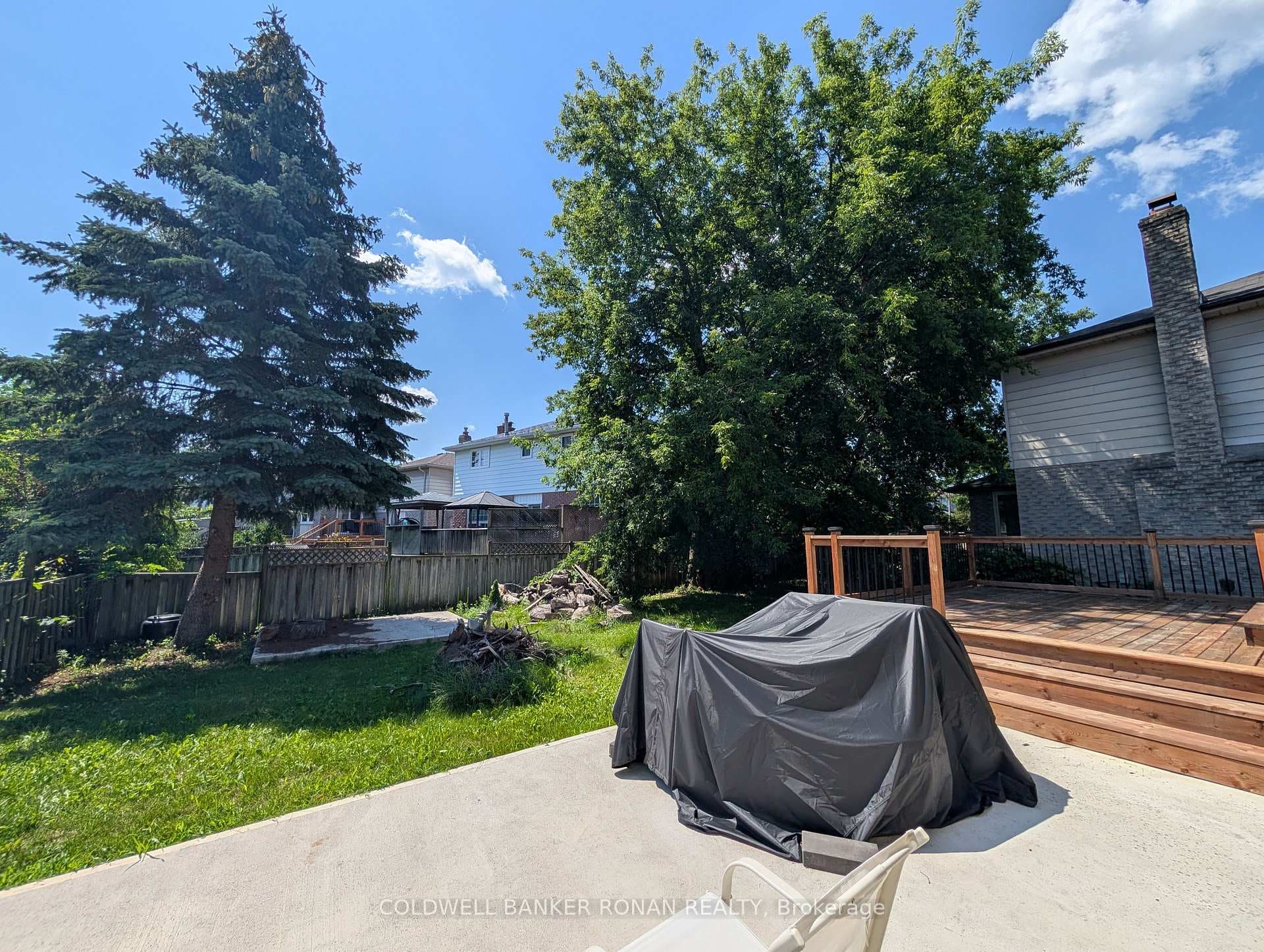 41 Camrose Drive photo 29