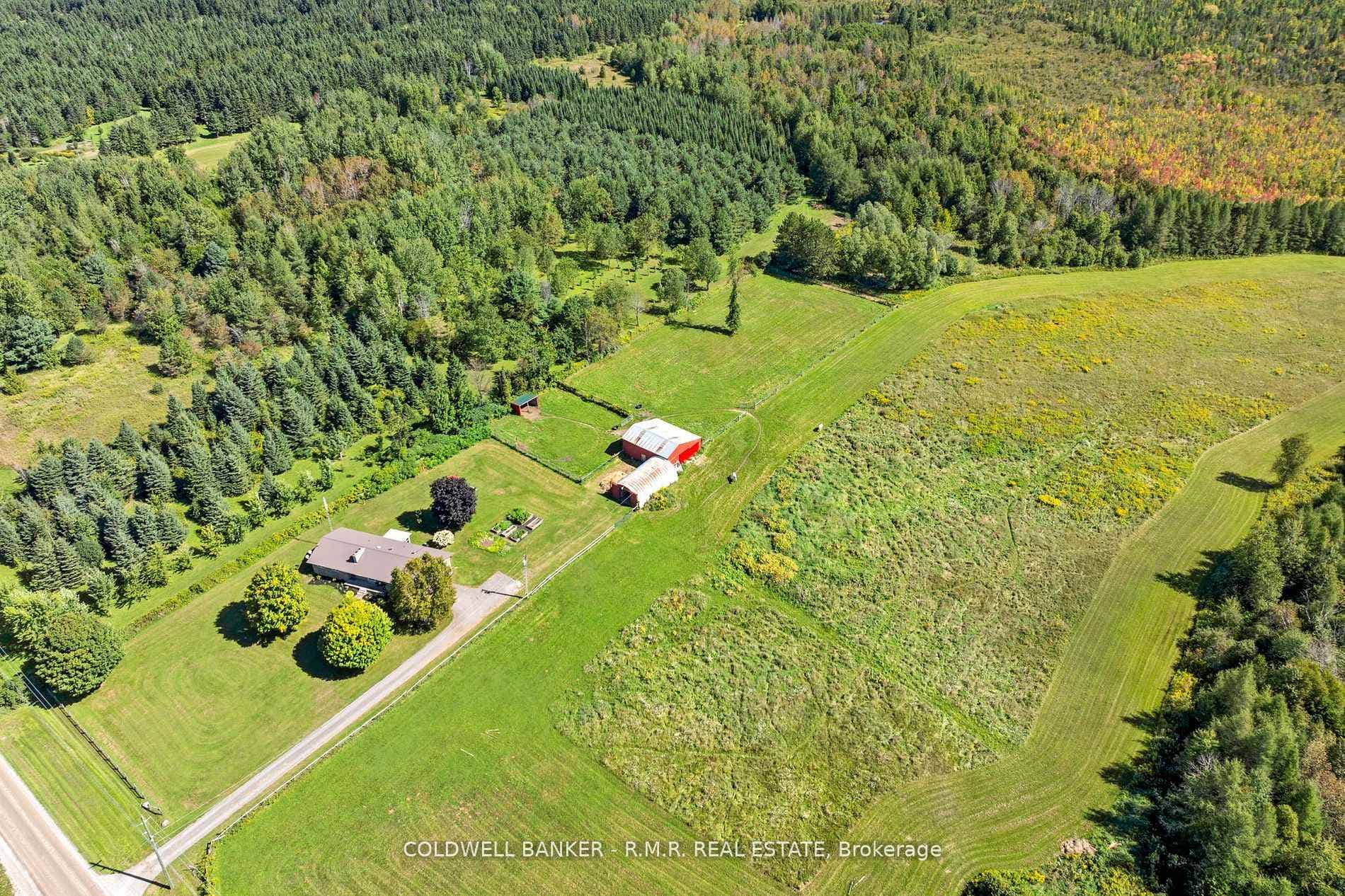 1076 Sandringham Road photo 9