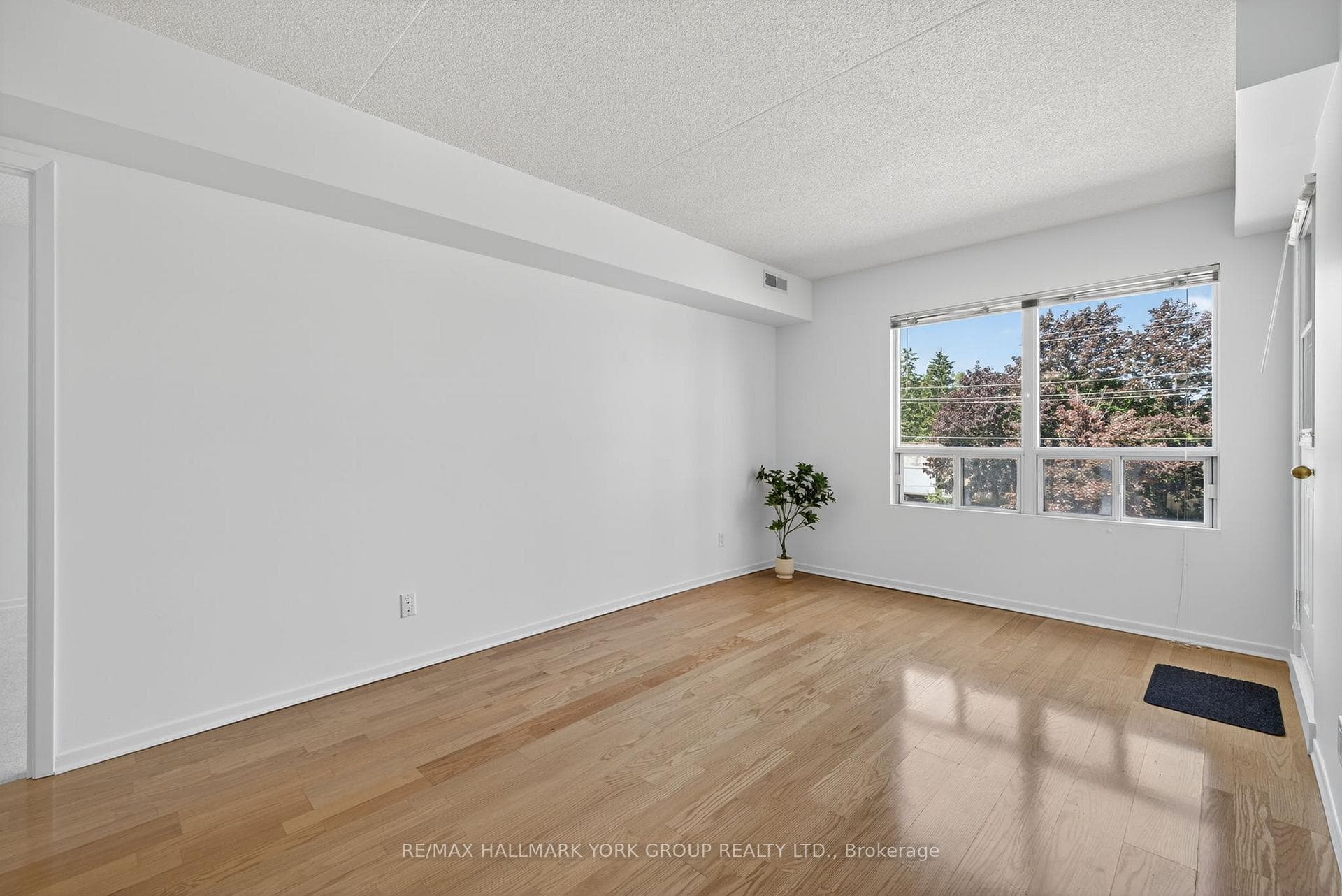 Large windows