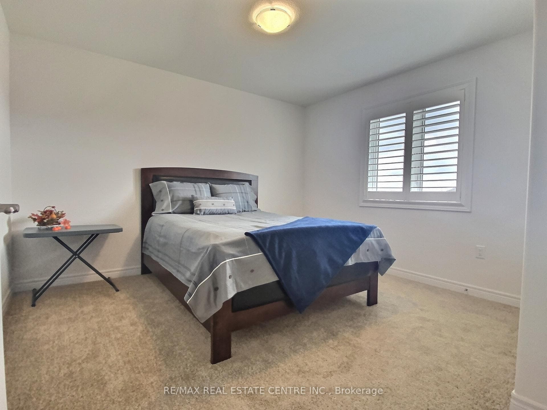 41 Lydia Lane photo 17