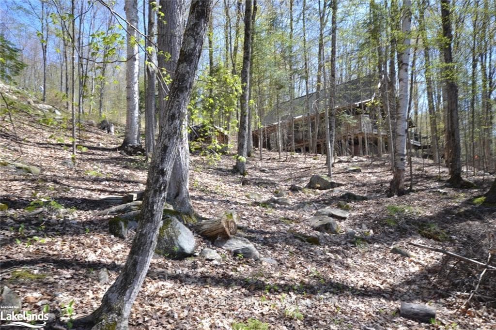 1025 SELECT Trail photo 35