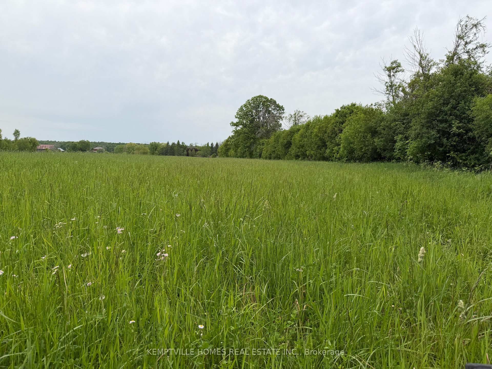 00 RICHARDSON Road photo 34