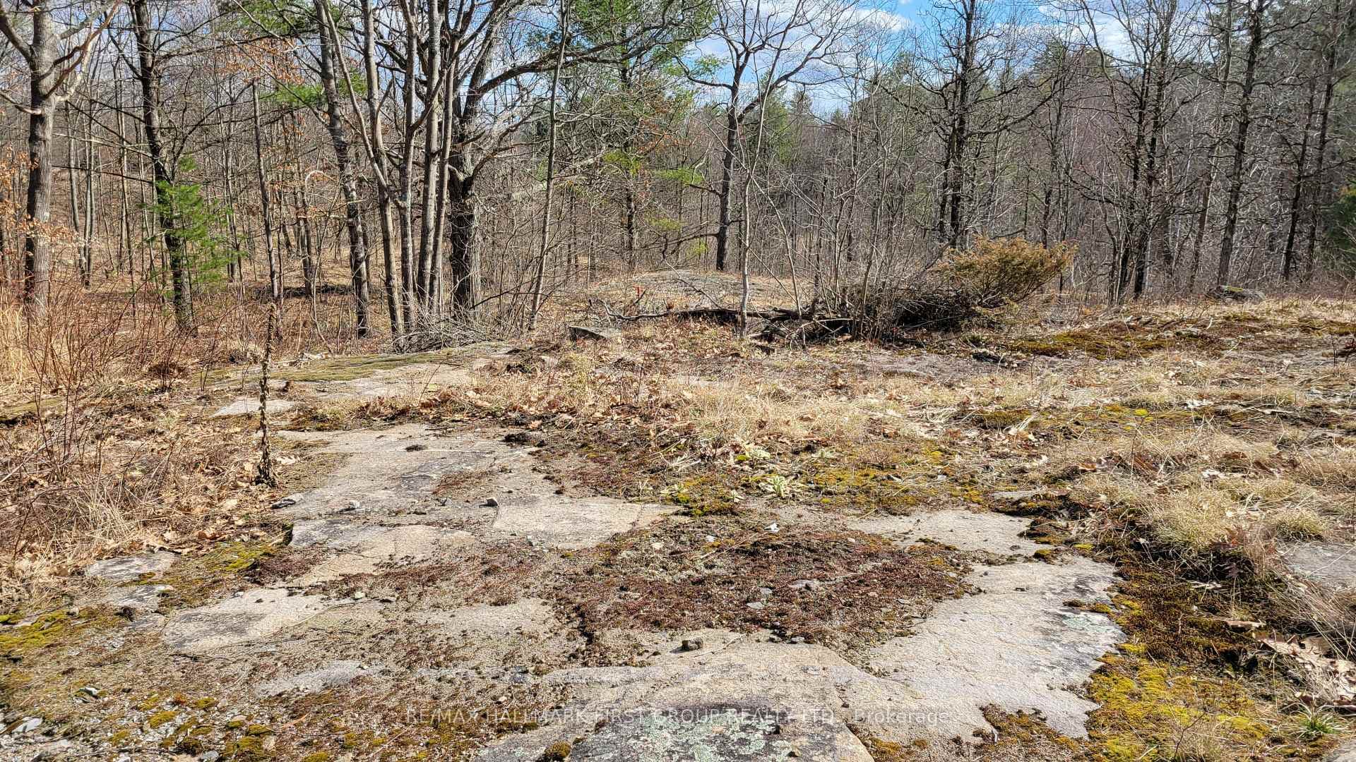 1583 Fourth Lake Road photo 10