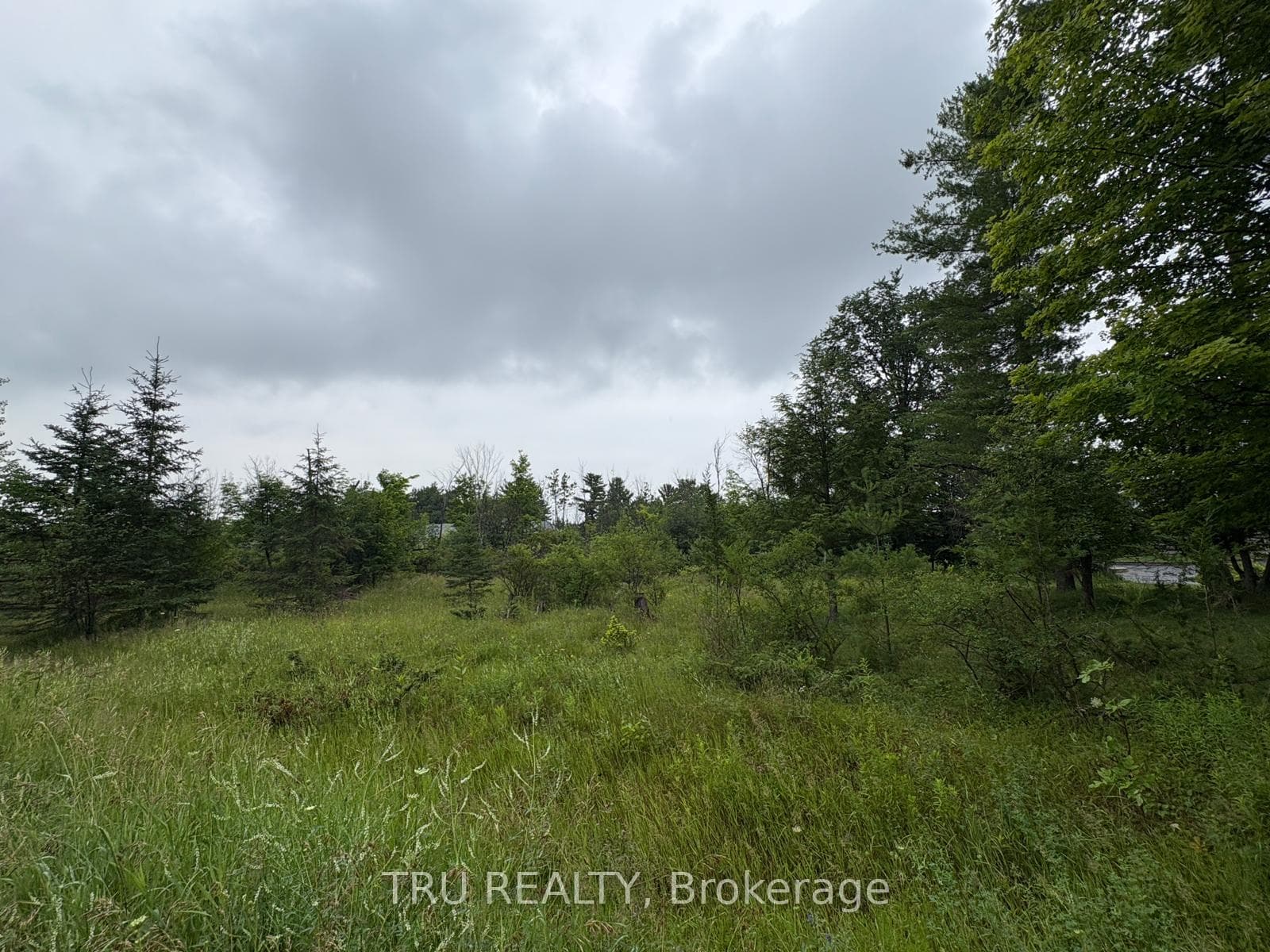 3024 Stoneridge Road photo 9