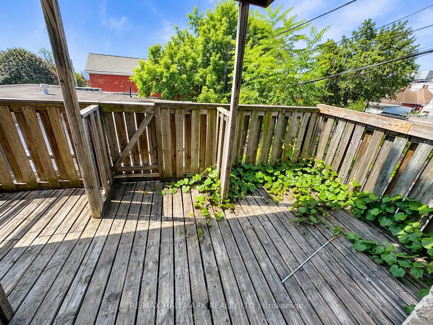 340 Barton Street photo 11
