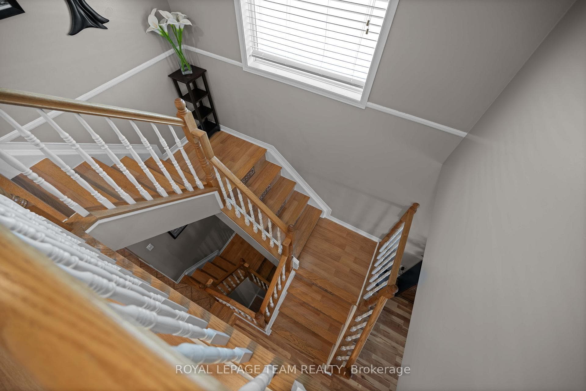 646 Casabella Drive photo 21