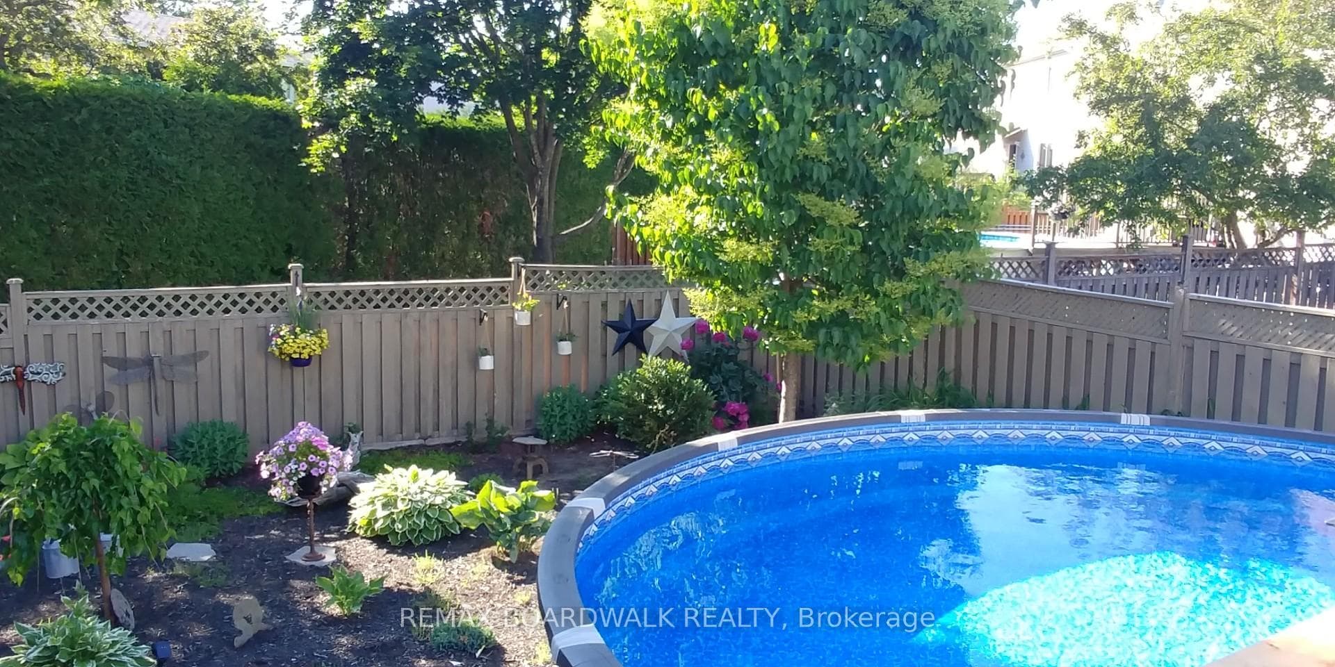Summer pic back yard