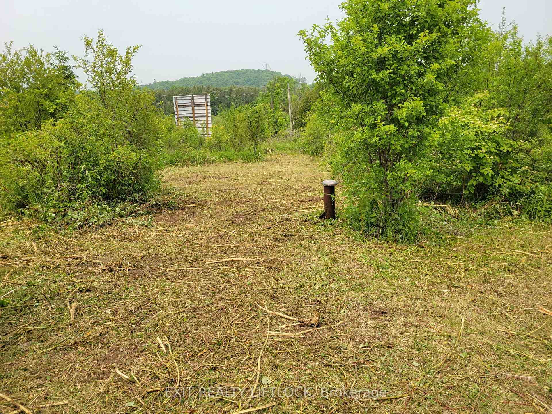 1045 Mount Pleasant Road photo 12