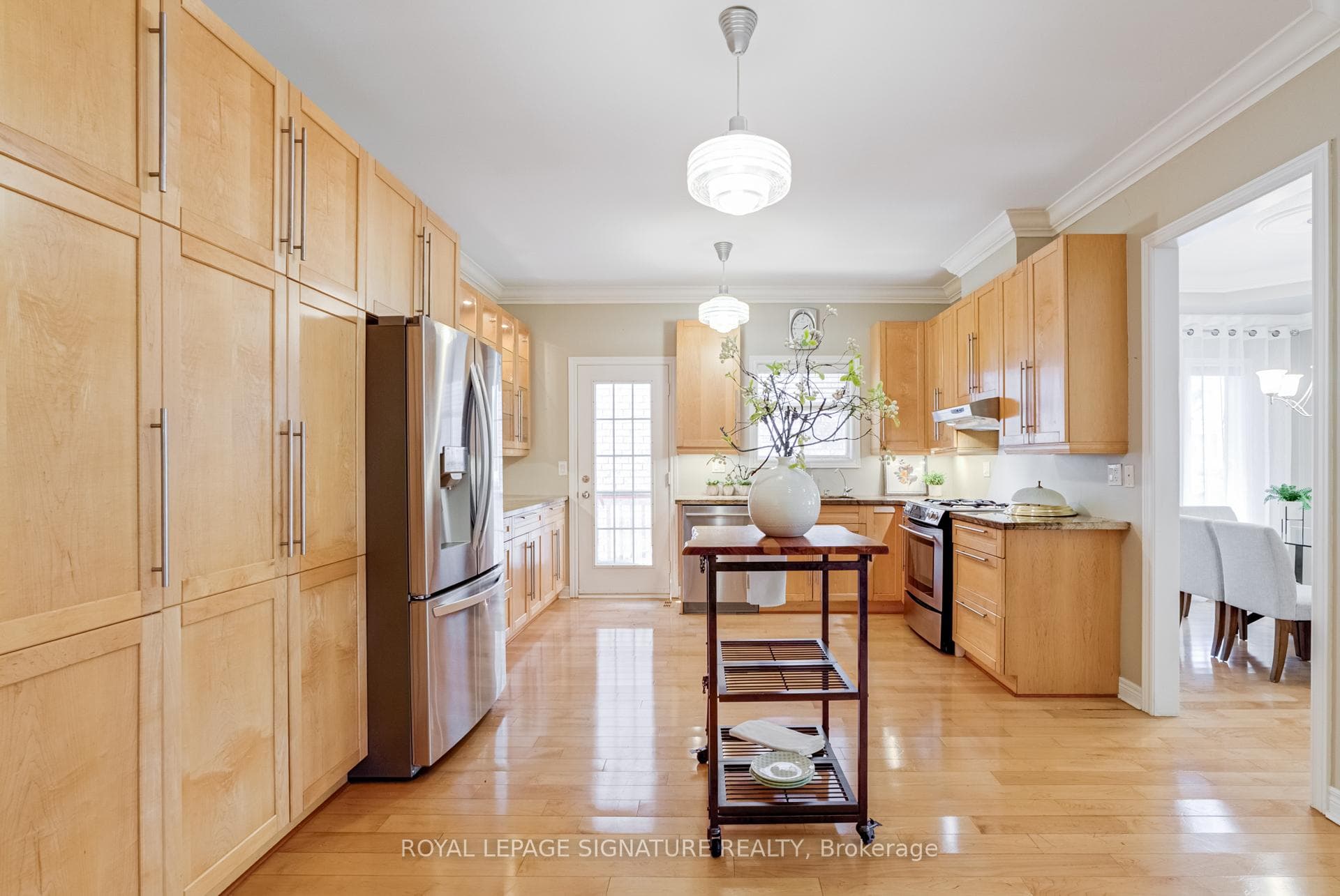 19 Driscoll Drive photo 10