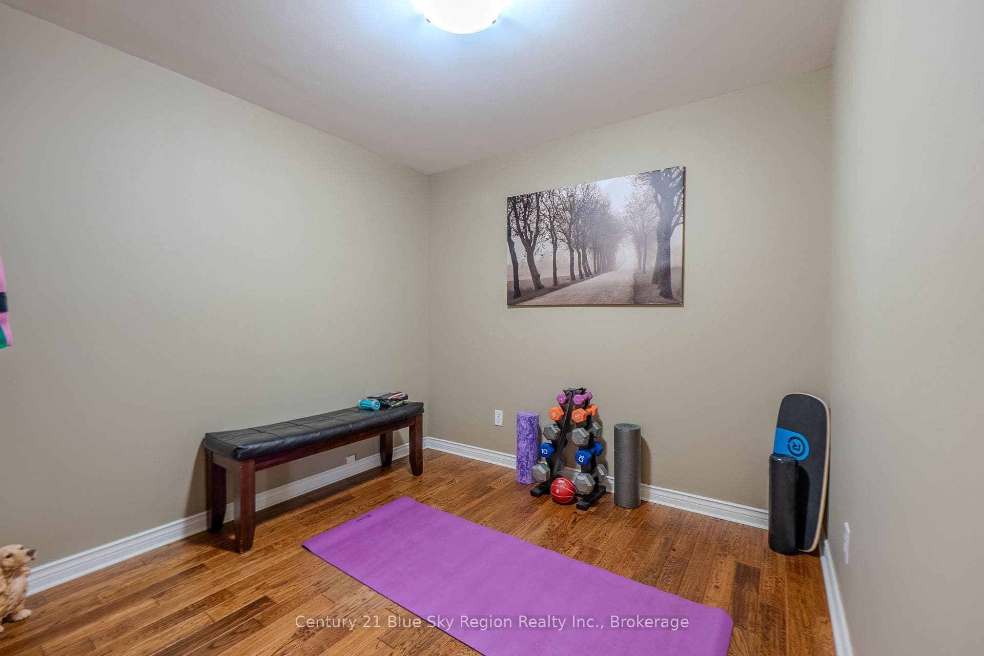 90 Janey Avenue photo 49