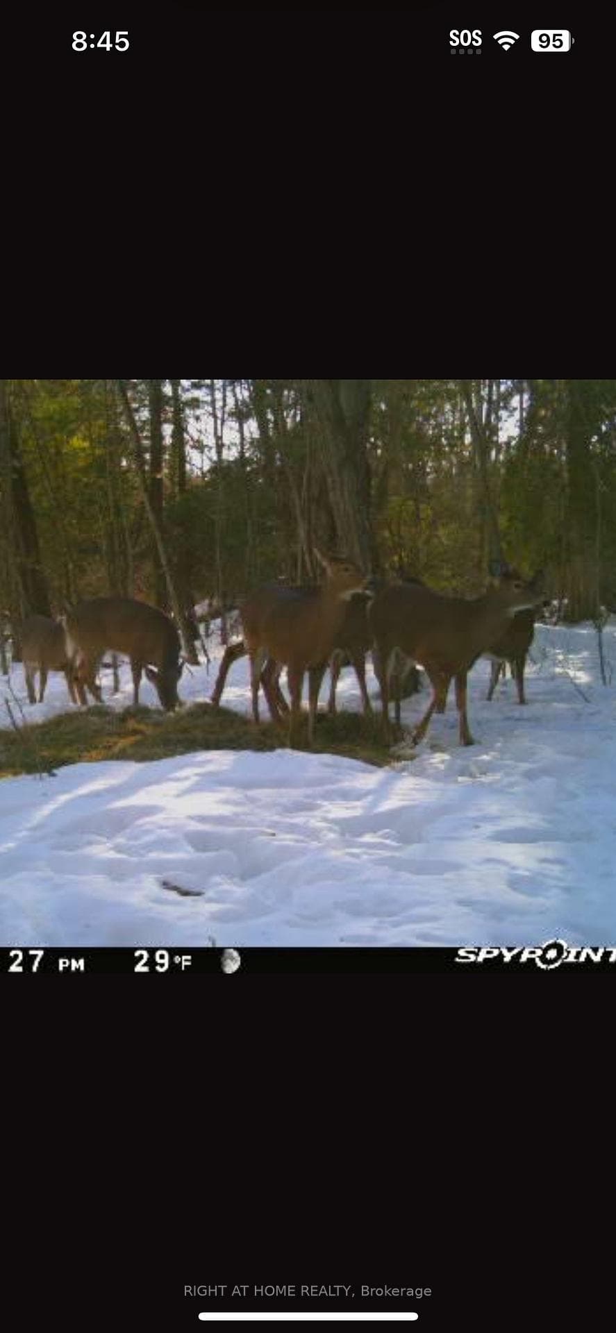 0 Mount Horeb Road photo 13