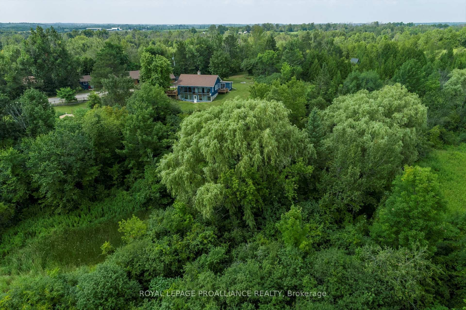 96 Acres of privacy