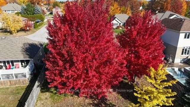 27 Vermont Crescent photo 40
