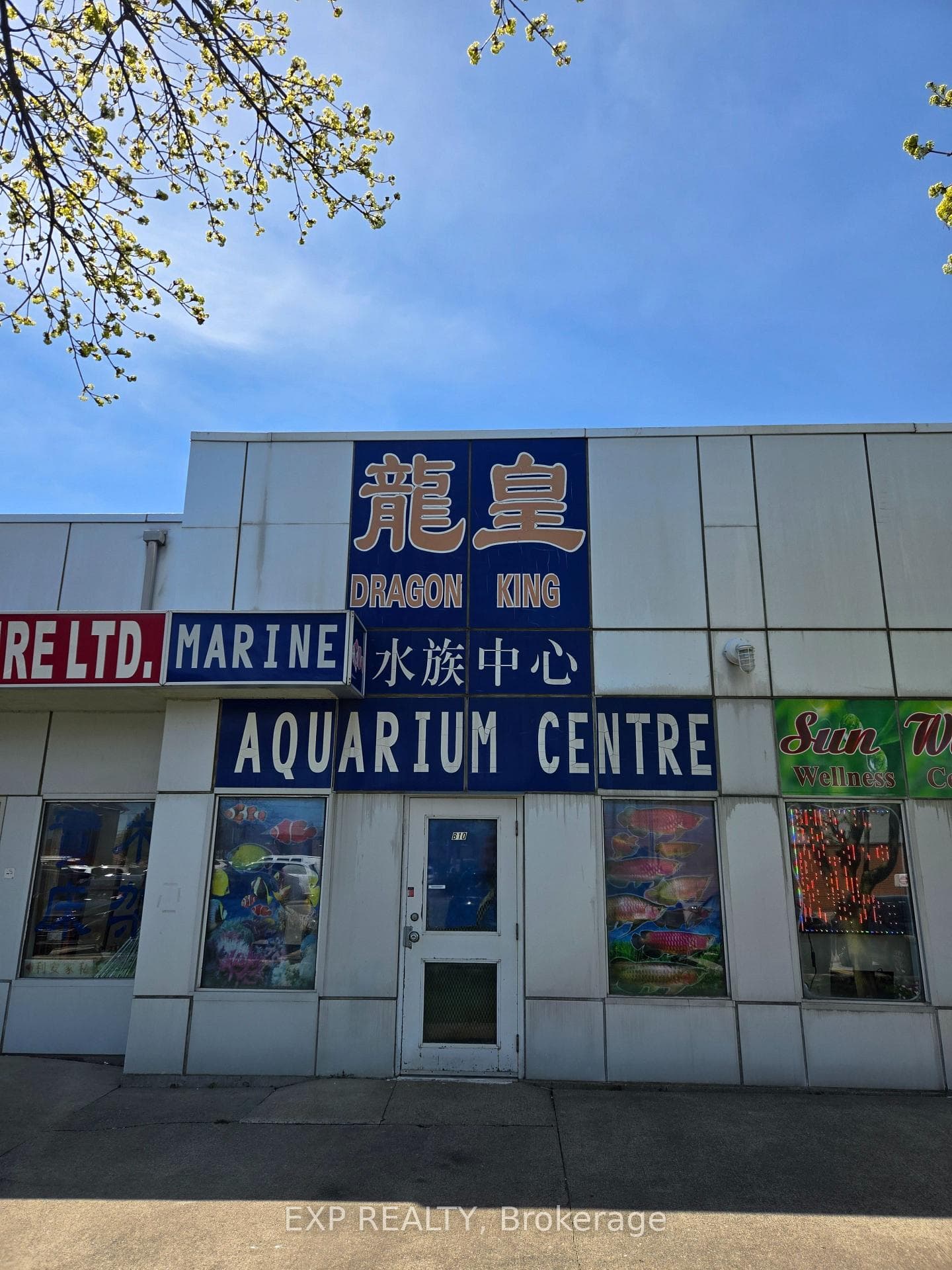4779 Steeles Avenue Unit B10 photo 6