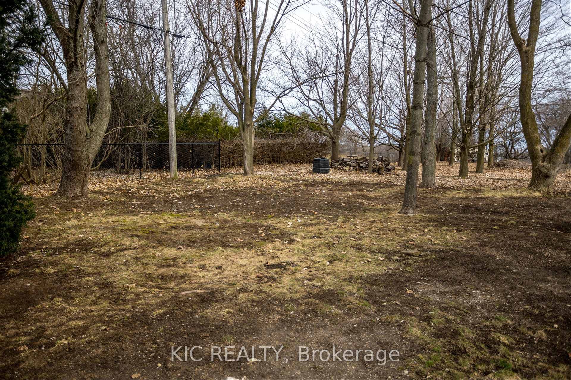 20 Mcnab Avenue photo 20