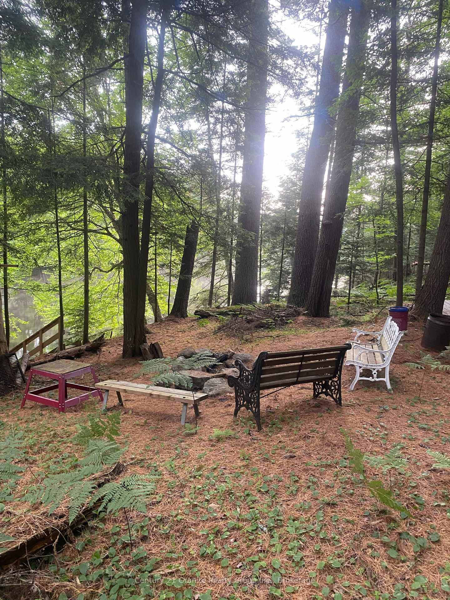 210 Brodie Kay Trail photo 5