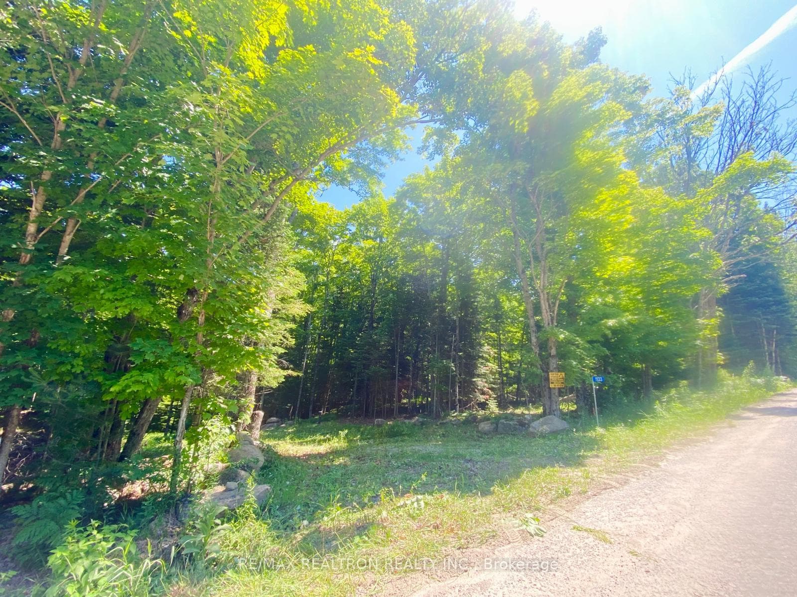 Entrance and Driveway