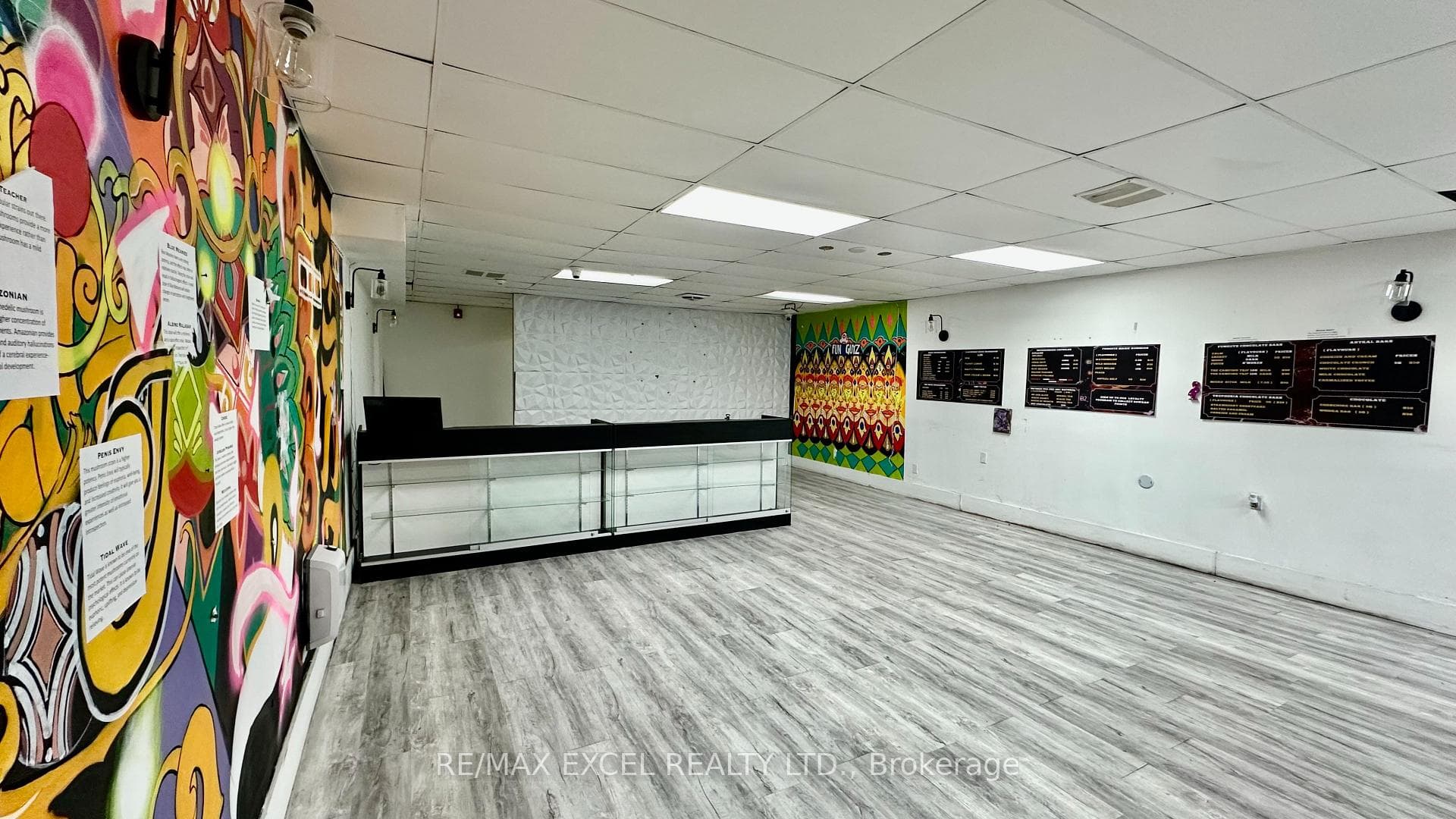 357 Spadina Avenue Unit Lower photo 3