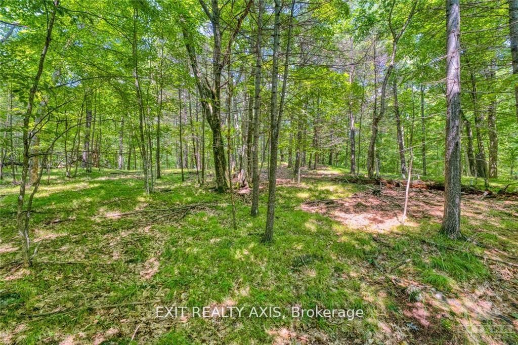 75 Lasha Lane photo 10