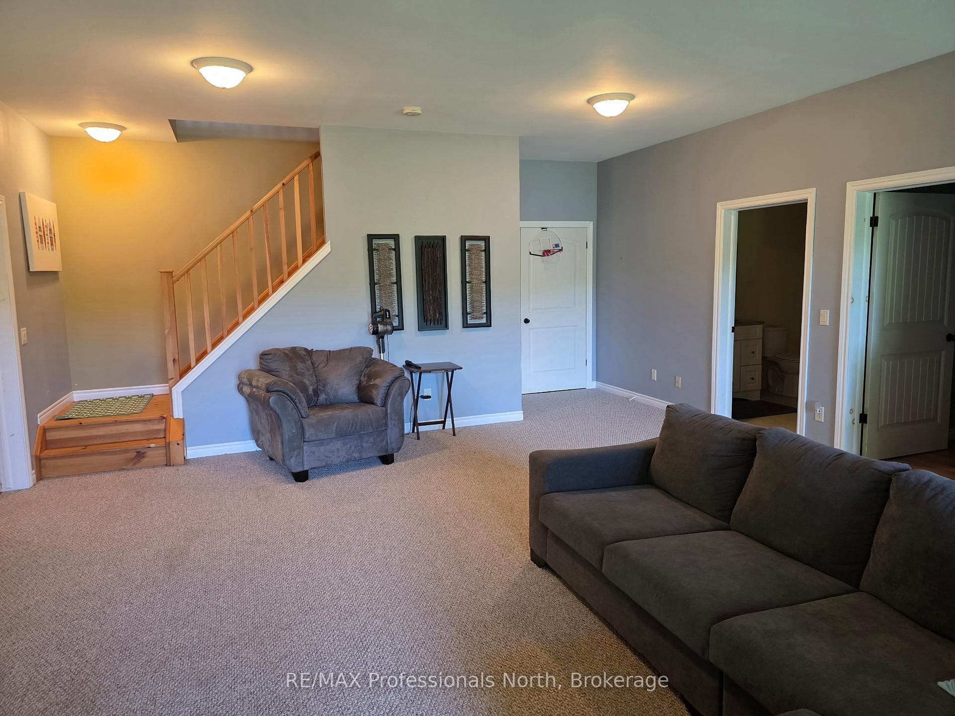 Lower Level Family Room