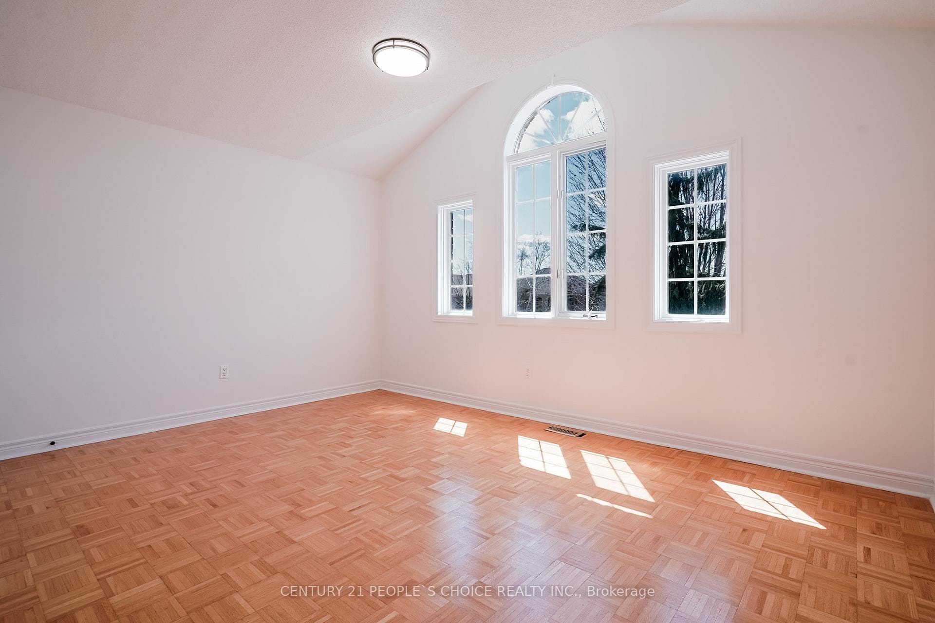 191 Napa Valley Avenue photo 28