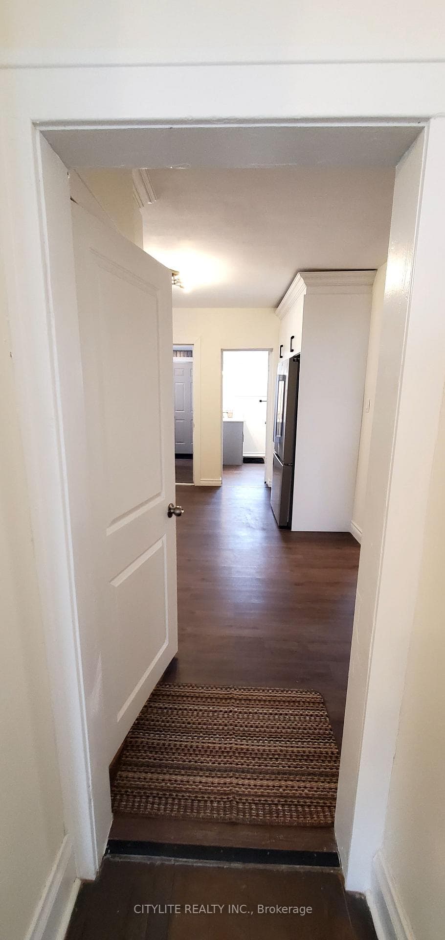 244 Albert Street photo 7