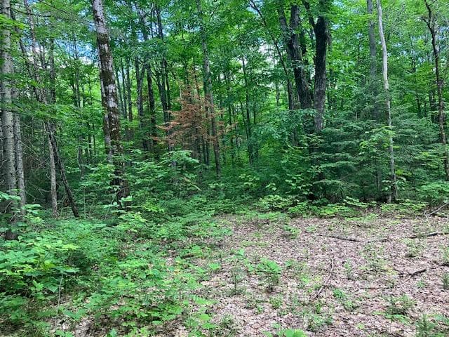 6732 County Road 620 N/A photo 5
