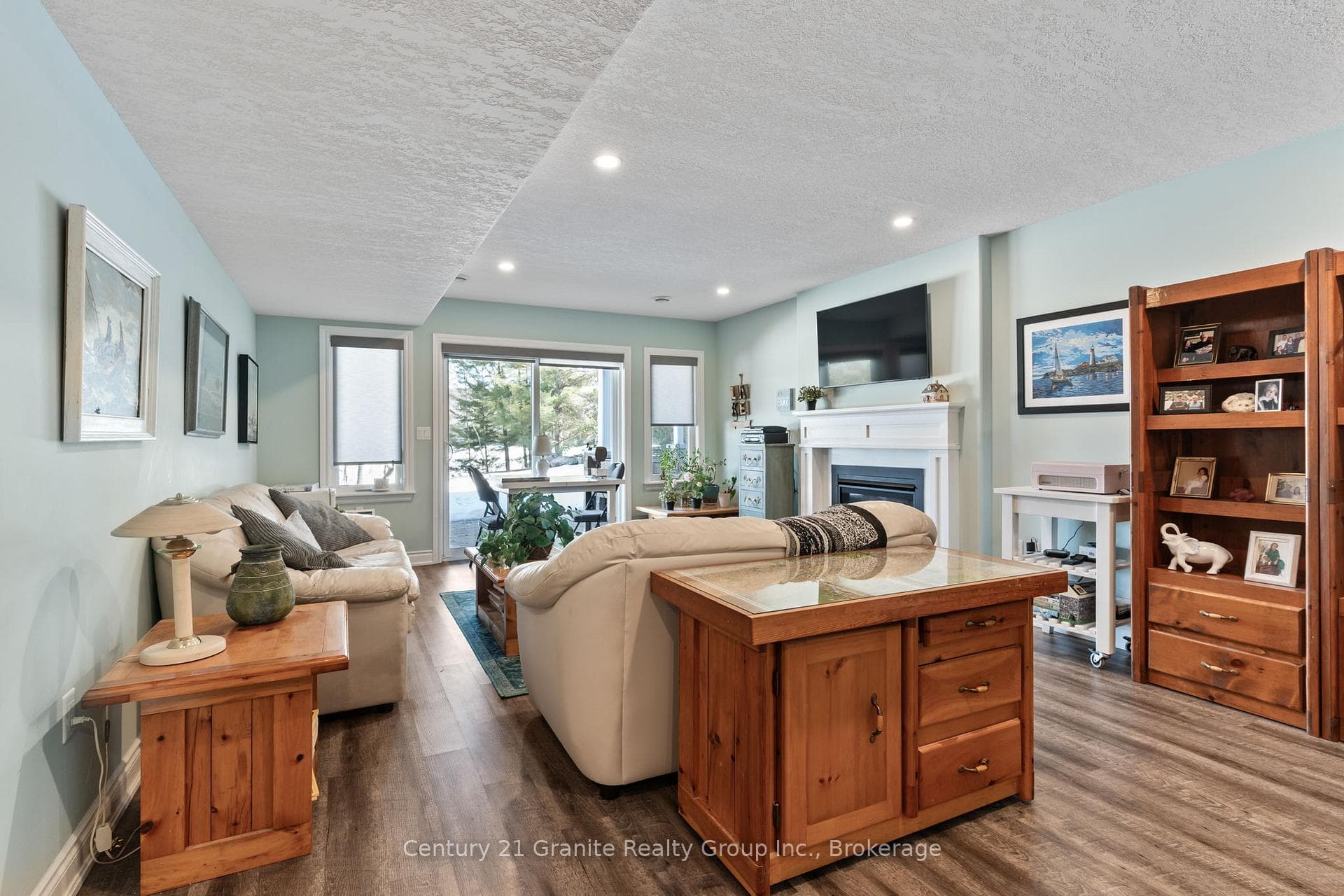 Lower level family room w/walkout to patio