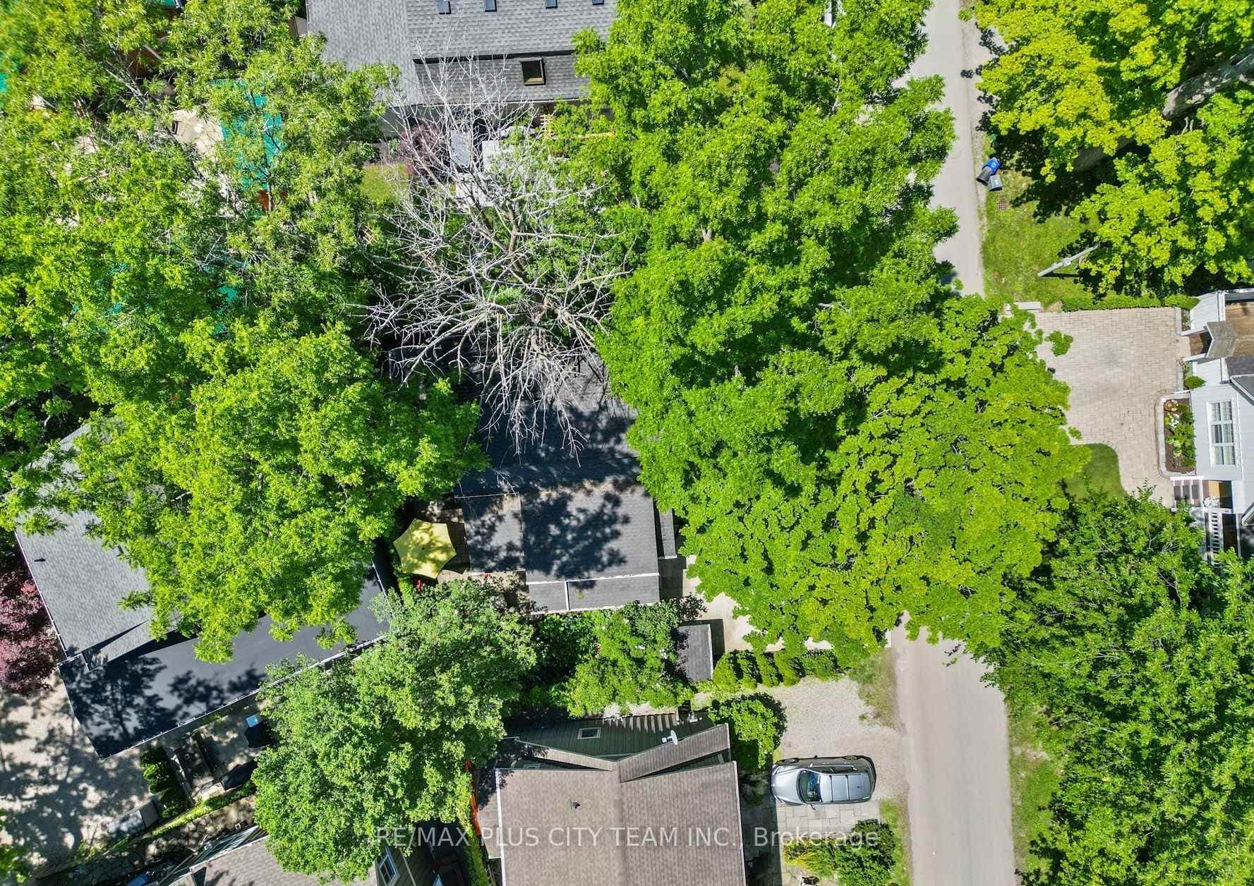 4 Wyckliffe Avenue photo 35